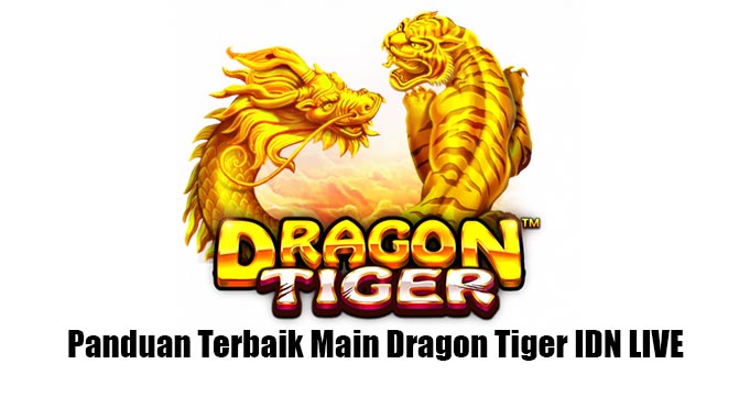 Panduan Terbaik Main Dragon Tiger IDN LIVE